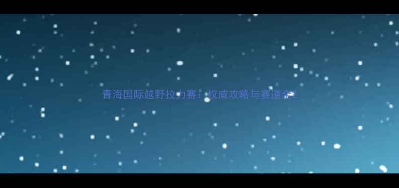 图片 青海国际越野拉力赛：权威攻略与赛道全2