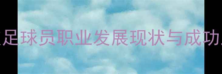 图片 韩国旅欧足球员职业发展现状与成功路径分析