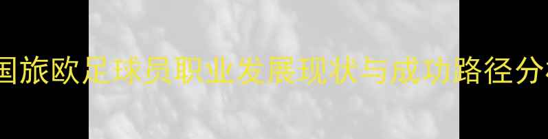 图片 韩国旅欧足球员职业发展现状与成功路径分析1
