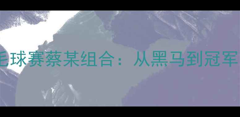 图片 韩国混双羽毛球赛蔡某组合：从黑马到冠军的逆袭之路1