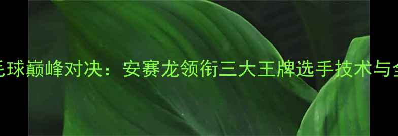 图片 韩国男单羽毛球巅峰对决：安赛龙领衔三大王牌选手技术与全球赛事布局