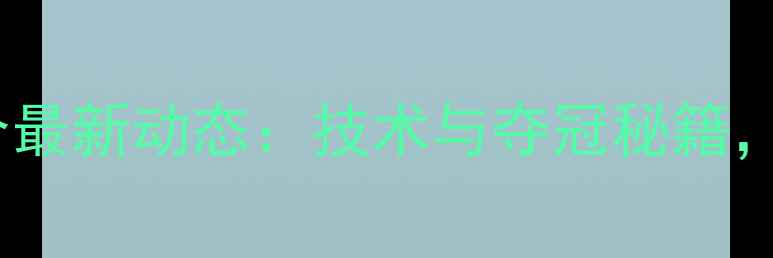图片 韩国羽毛球男双组合最新动态：技术与夺冠秘籍，亚运赛场表现抢眼1
