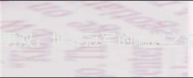 图片 韩国羽毛球男双：世界冠军的崛起之路与技战术2