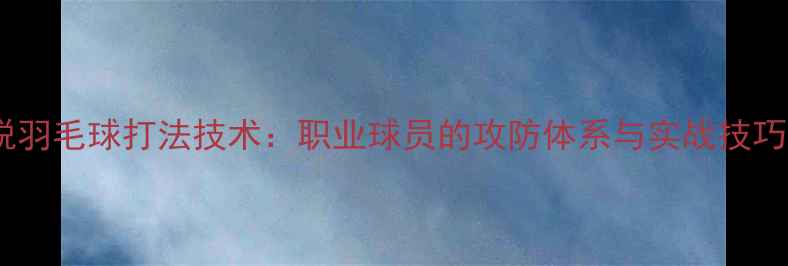 图片 韩悦羽毛球打法技术：职业球员的攻防体系与实战技巧全2