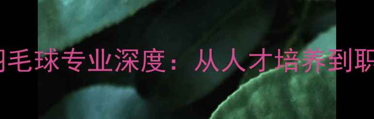 图片 首都体育大学羽毛球专业深度：从人才培养到职业发展全指南2