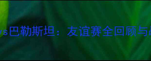 图片 香港vs巴勒斯坦：友谊赛全回顾与战术2
