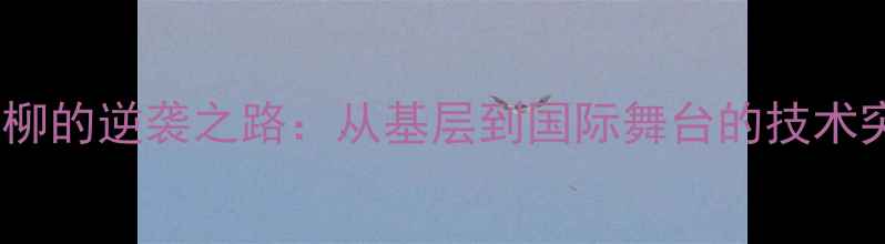 图片 香港乒乓球冠军柳的逆袭之路：从基层到国际舞台的技术突破与精神传承2