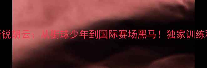 图片 香港羽毛球新锐胡云：从街球少年到国际赛场黑马！独家训练秘籍大公开🔥