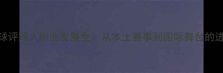 图片 香港足球评球人职业发展全：从本土赛事到国际舞台的进阶之路