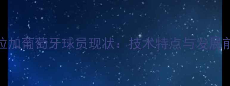 图片 马拉加葡萄牙球员现状：技术特点与发展前景