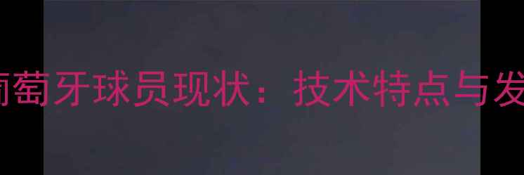 图片 马拉加葡萄牙球员现状：技术特点与发展前景1