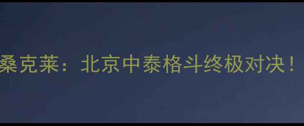 图片 马拉特vs雅桑克莱：北京中泰格斗终极对决！胜负悬念全