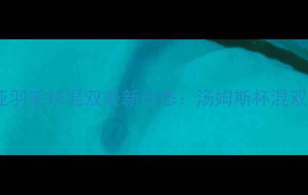 图片 马来西亚羽毛球混双最新动态：汤姆斯杯混双夺冠全1