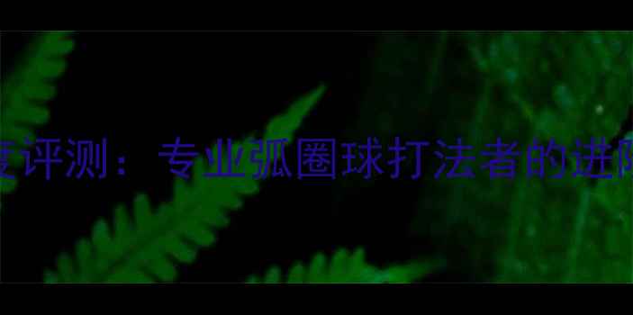 图片 马琳同款底板深度评测：专业弧圈球打法者的进阶装备与选购指南