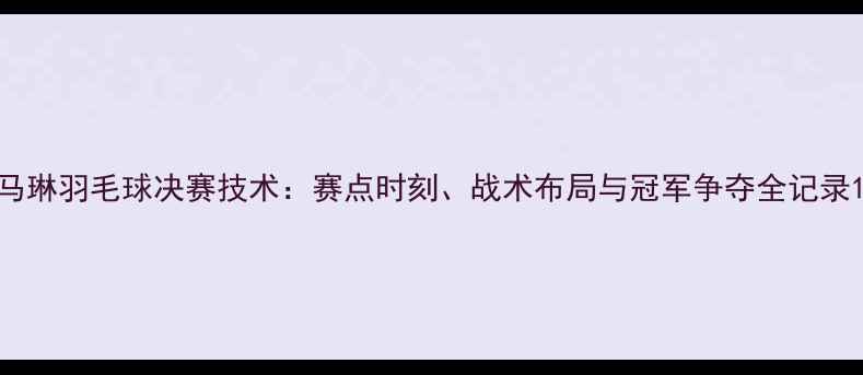 图片 马琳羽毛球决赛技术：赛点时刻、战术布局与冠军争夺全记录1