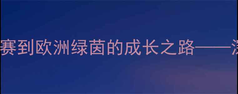 图片 马瑙斯足球新星Manas：从南美联赛到欧洲绿茵的成长之路——深度巴西潜力球员的职业发展轨迹