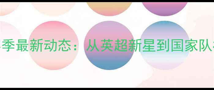 图片 马蒂斯·波利赛季最新动态：从英超新星到国家队核心的成长密码