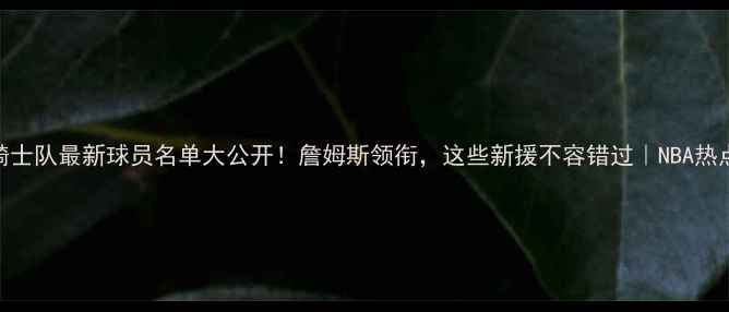 图片 骑士队最新球员名单大公开！詹姆斯领衔，这些新援不容错过｜NBA热点