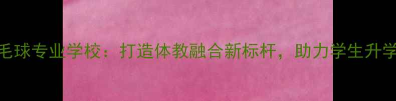 图片 高中羽毛球专业学校：打造体教融合新标杆，助力学生升学与成长