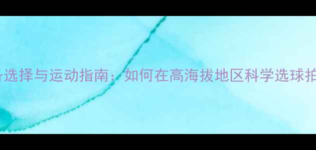 图片 高原羽毛球装备选择与运动指南：如何在高海拔地区科学选球拍、球鞋与服装2