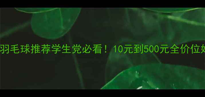 图片 高性价比羽毛球推荐学生党必看！10元到500元全价位好球测评2