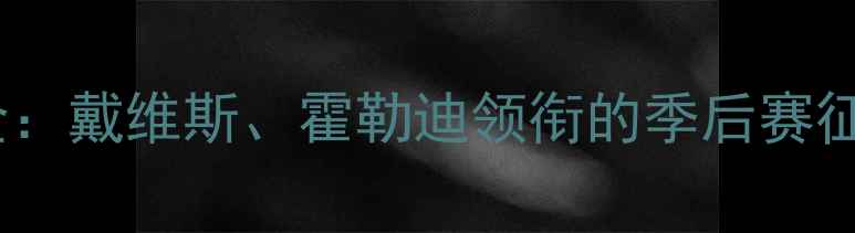 图片 鹈鹕赛季全：戴维斯、霍勒迪领衔的季后赛征程与战术2