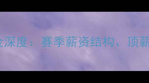 图片 鹈鹕队球员薪金深度：赛季薪资结构、顶薪合同与奢侈税2