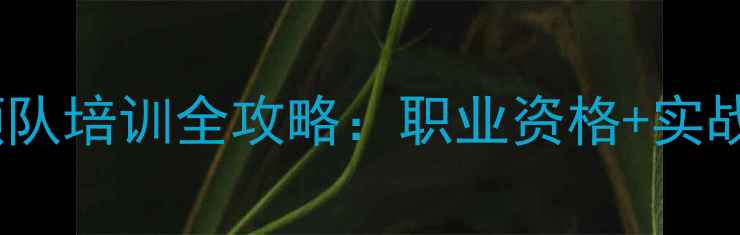 图片 黄标认证乒乓球领队培训全攻略：职业资格+实战技能双提升指南1