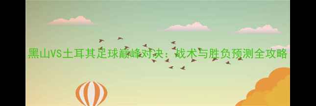 图片 黑山VS土耳其足球巅峰对决：战术与胜负预测全攻略