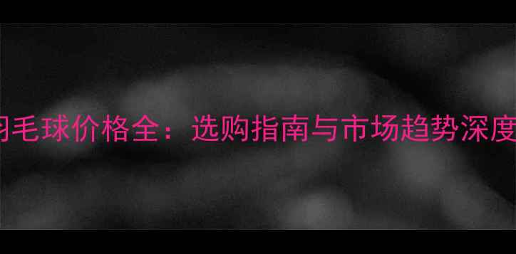 图片 黑色羽毛球价格全：选购指南与市场趋势深度分析1