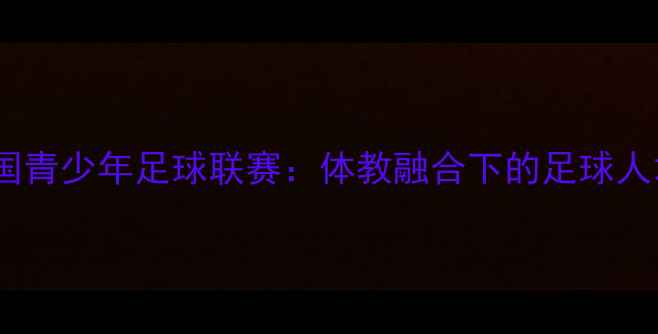 图片 龙之少年杯全国青少年足球联赛：体教融合下的足球人才培养新标杆1