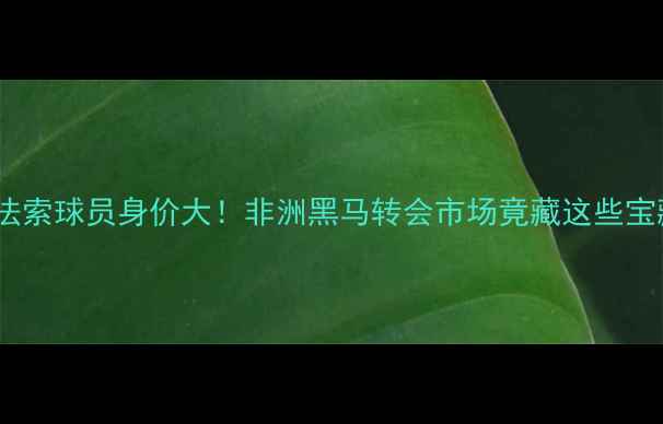 图片 🌍🔥布基纳法索球员身价大！非洲黑马转会市场竟藏这些宝藏球员？💰2