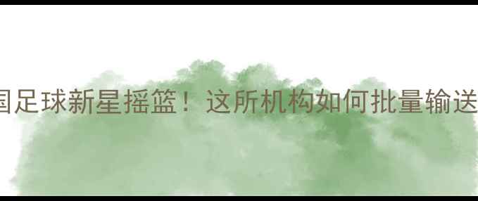 图片 🌟FMO青训中国足球新星摇篮！这所机构如何批量输送职业球员？🏆