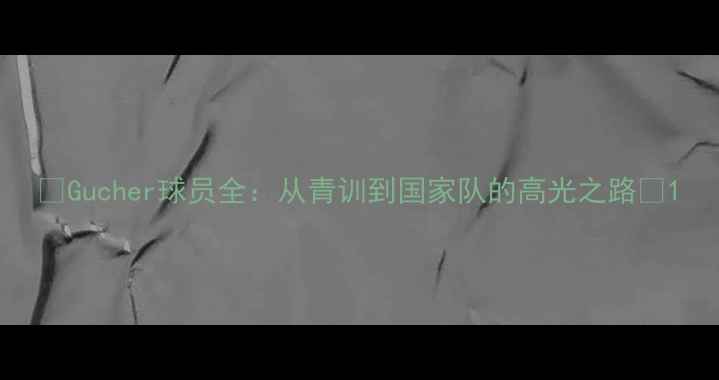 图片 🌟Gucher球员全：从青训到国家队的高光之路🌟1
