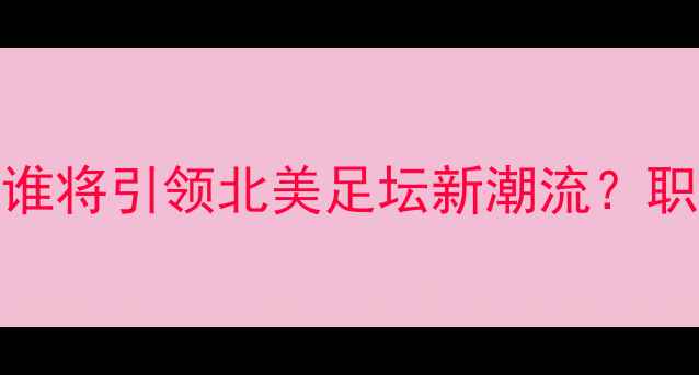 图片 🌟MLS知名球员深度：谁将引领北美足坛新潮流？职业生涯与商业价值全2