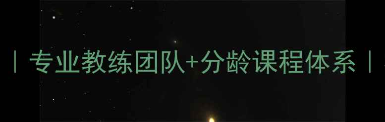 图片 🌟上海少儿羽毛球培训｜专业教练团队+分龄课程体系｜零基础也能系统提升！