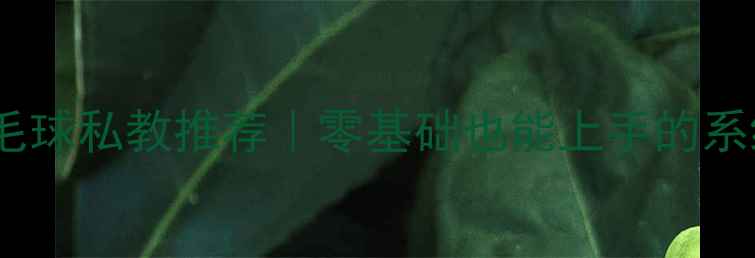 图片 🌟上海金桥羽毛球私教推荐｜零基础也能上手的系统教学体系🏸2