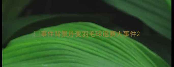 图片 🌟事件背景丹麦羽毛球退赛大事件2