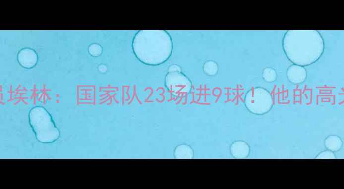 图片 🌟冰岛男足27号球员埃林：国家队23场进9球！他的高光时刻与幕后故事🌟