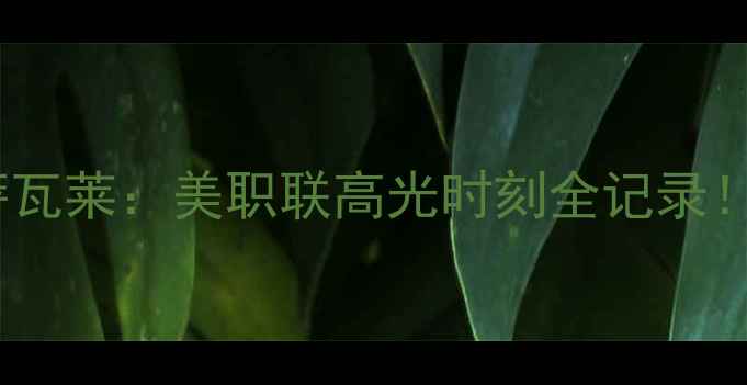 图片 🌟哥斯达黎加新星巴卡约·萨瓦莱：美职联高光时刻全记录！他的成长之路与未来潜力🌟1