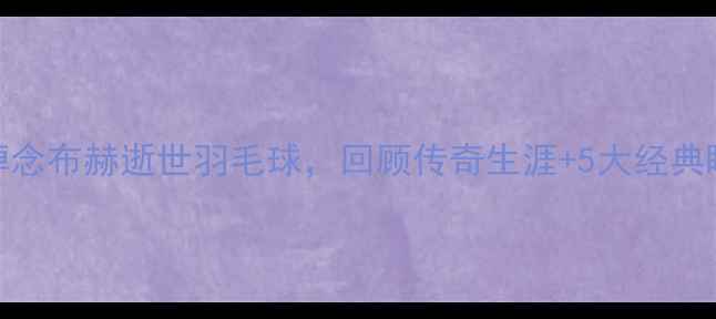 图片 🌟悼念布赫逝世羽毛球，回顾传奇生涯+5大经典瞬间