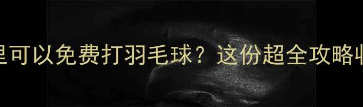 图片 🌟惠州哪里可以免费打羽毛球？这份超全攻略收好！🏸💥