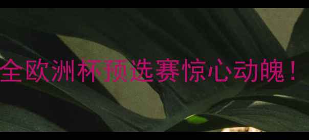 图片 🌟意波大战5大高光时刻+战术全欧洲杯预选赛惊心动魄！意大利vs波兰全网最全复盘🔥