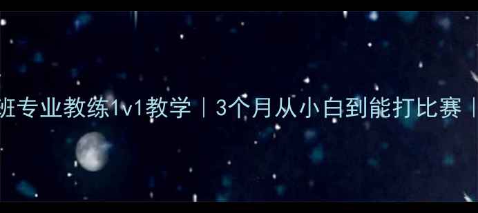 图片 🌟成都羽毛球零基础速成班专业教练1v1教学｜3个月从小白到能打比赛｜附免费体验课预约攻略🏸