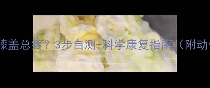 图片 🌟打羽毛球后膝盖总疼？3步自测+科学康复指南（附动作图解）🏸💥1