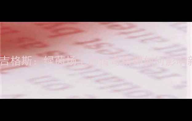 图片 🌟曼联全队致敬吉格斯：绿茵场上的传奇精神如何影响新一代球员？🌟1