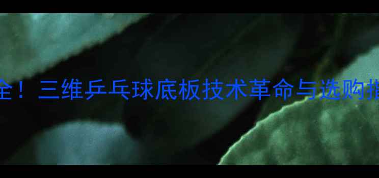 图片 🌟最全！三维乒乓球底板技术革命与选购指南🏓