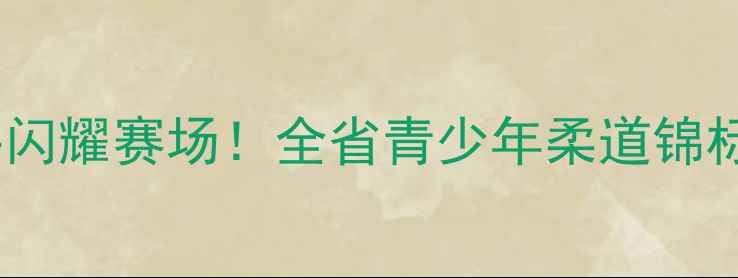 图片 🌟河南柔道小将闪耀赛场！全省青少年柔道锦标赛精彩回顾🏆2