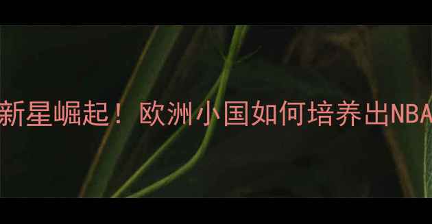 图片 🌟瑞士篮球新星崛起！欧洲小国如何培养出NBA未来之星🌟