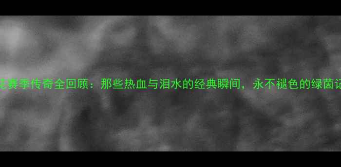 图片 🌟申花赛季传奇全回顾：那些热血与泪水的经典瞬间，永不褪色的绿茵记忆🌟